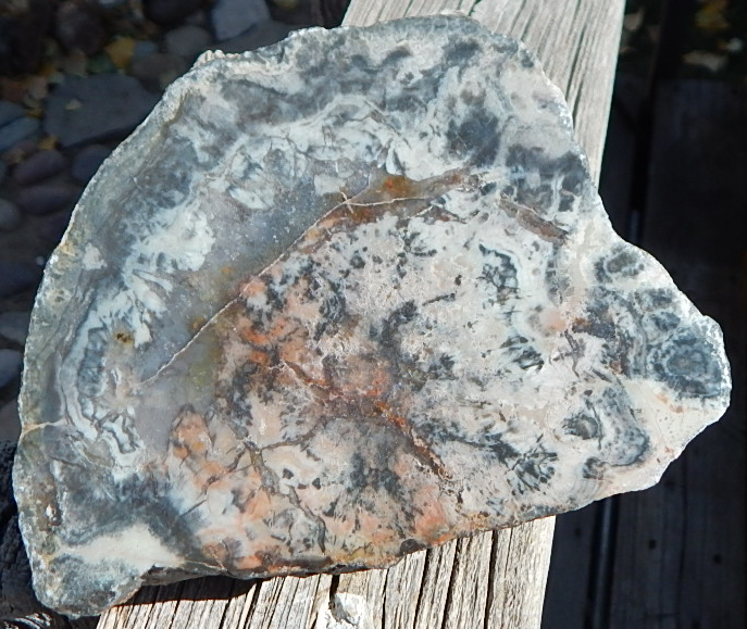 coprolite street