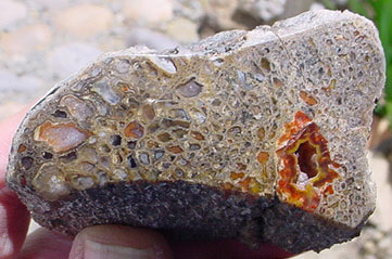 Utah Dinosaur Bone - 1c