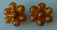 Brown glass bead screw back earrings