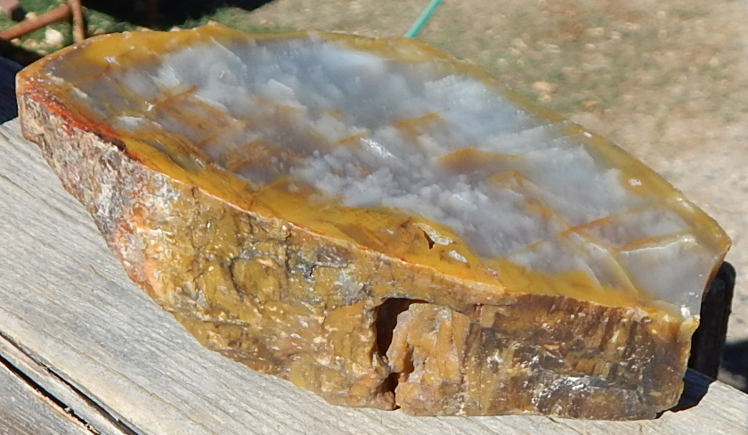 Utah petrified agate wood specimen