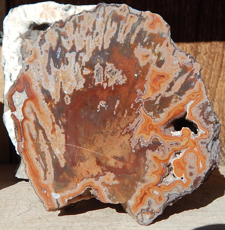 Montana Dryhead Agate Slab