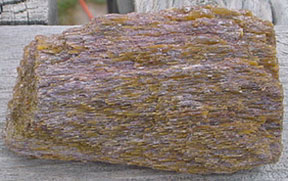 Utah Dinosaur Bone Chunk #4