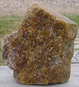 Utah Dinosaur Bone Specimen #5