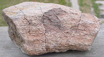 Utah Dinosaur Bone Specimen #6