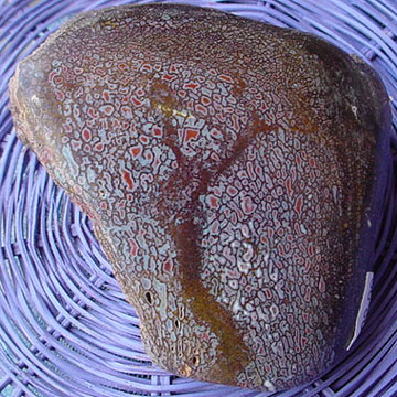 Utah Dinosaur Bone - 1a