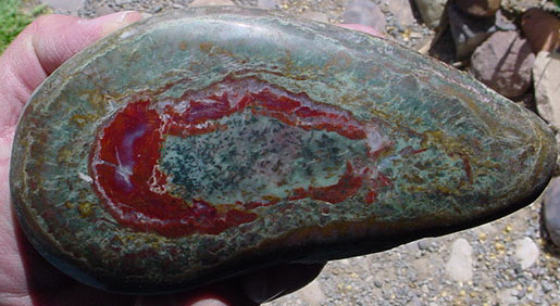 Dinosaur Bone - 1d