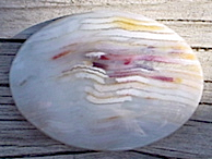 Item #417 Petrified Wood Cab